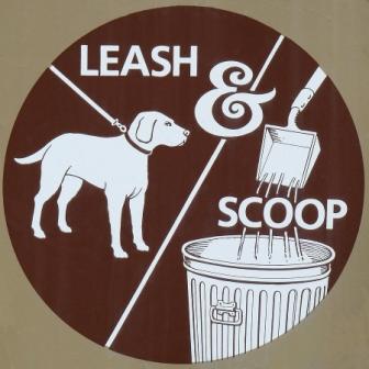 dog leash & scoop